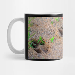 paw prints Mug